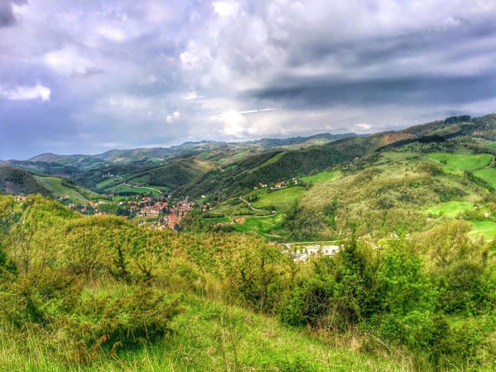 Pet-Friendly Retreat - Photo 11