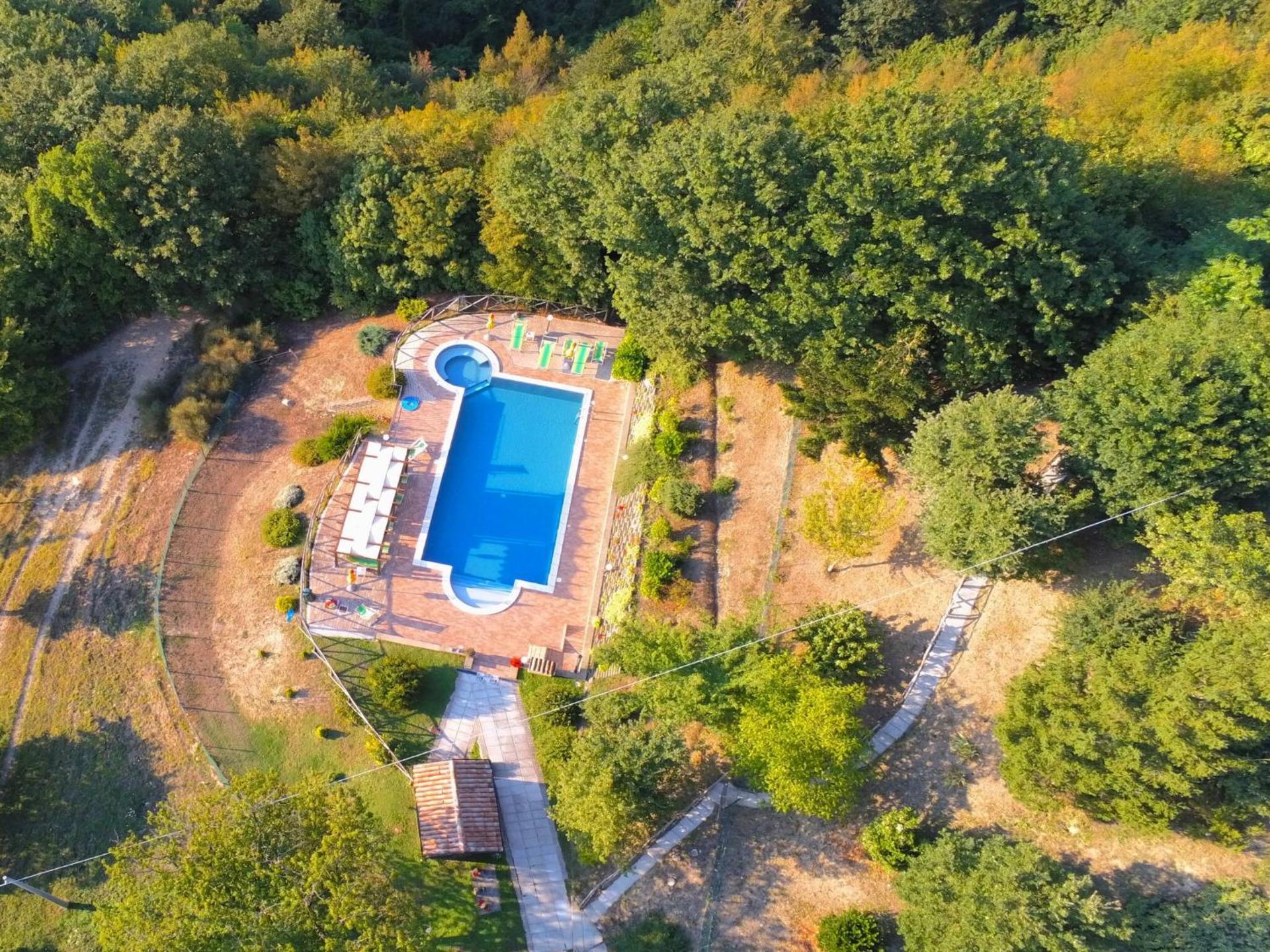 Pet-Friendly Retreat - Photo 29