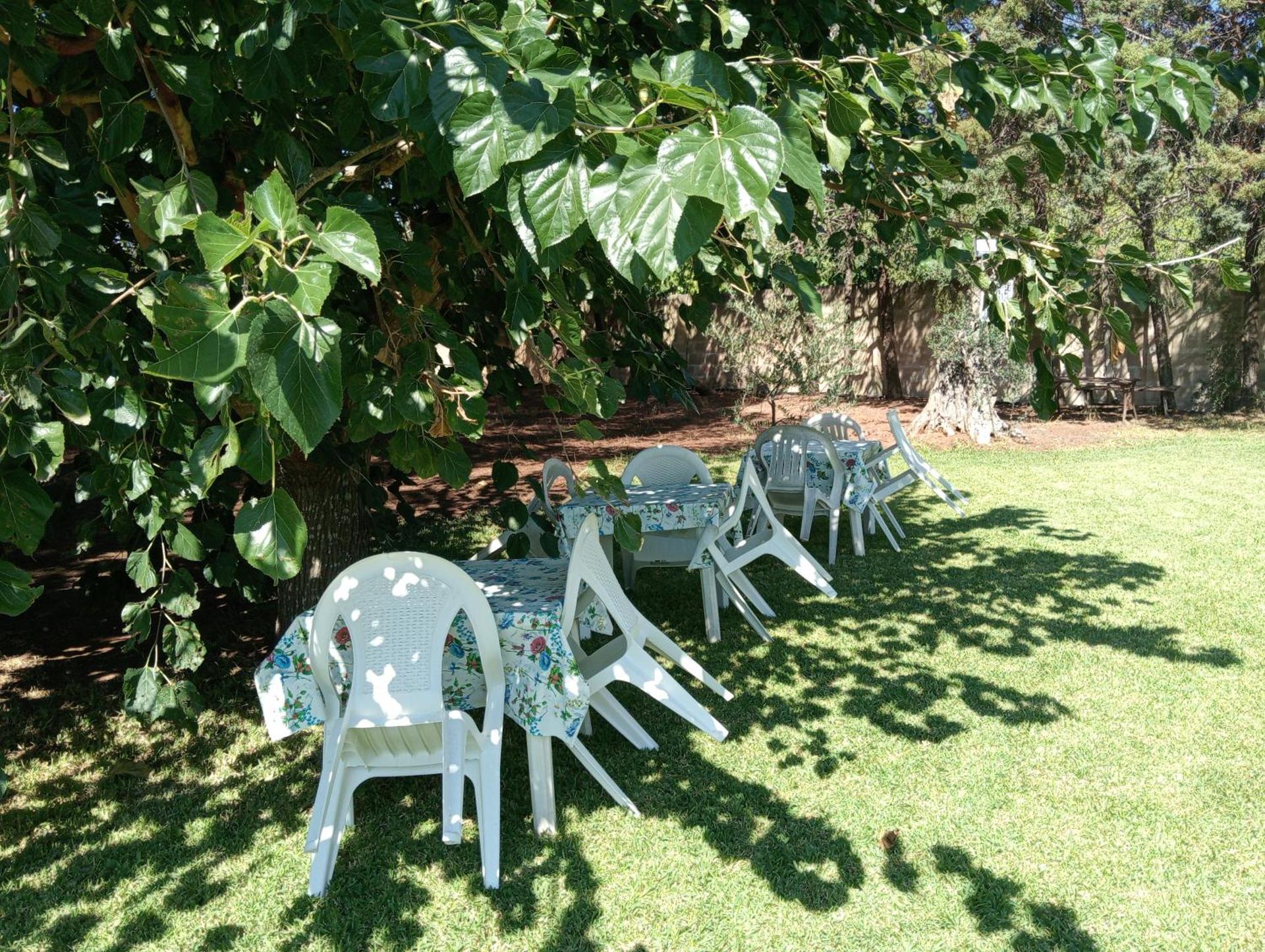 Agriturismo Santa Chiara - Photo 129