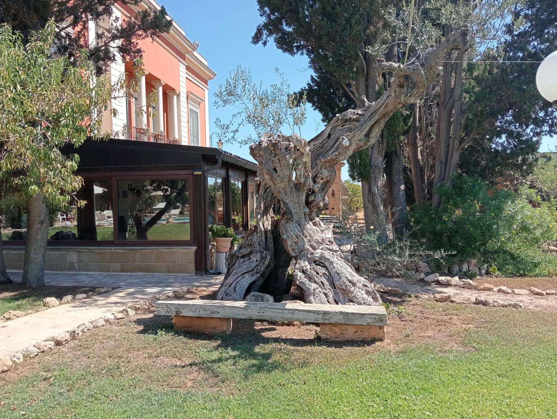 Agriturismo Santa Chiara - Photo 130