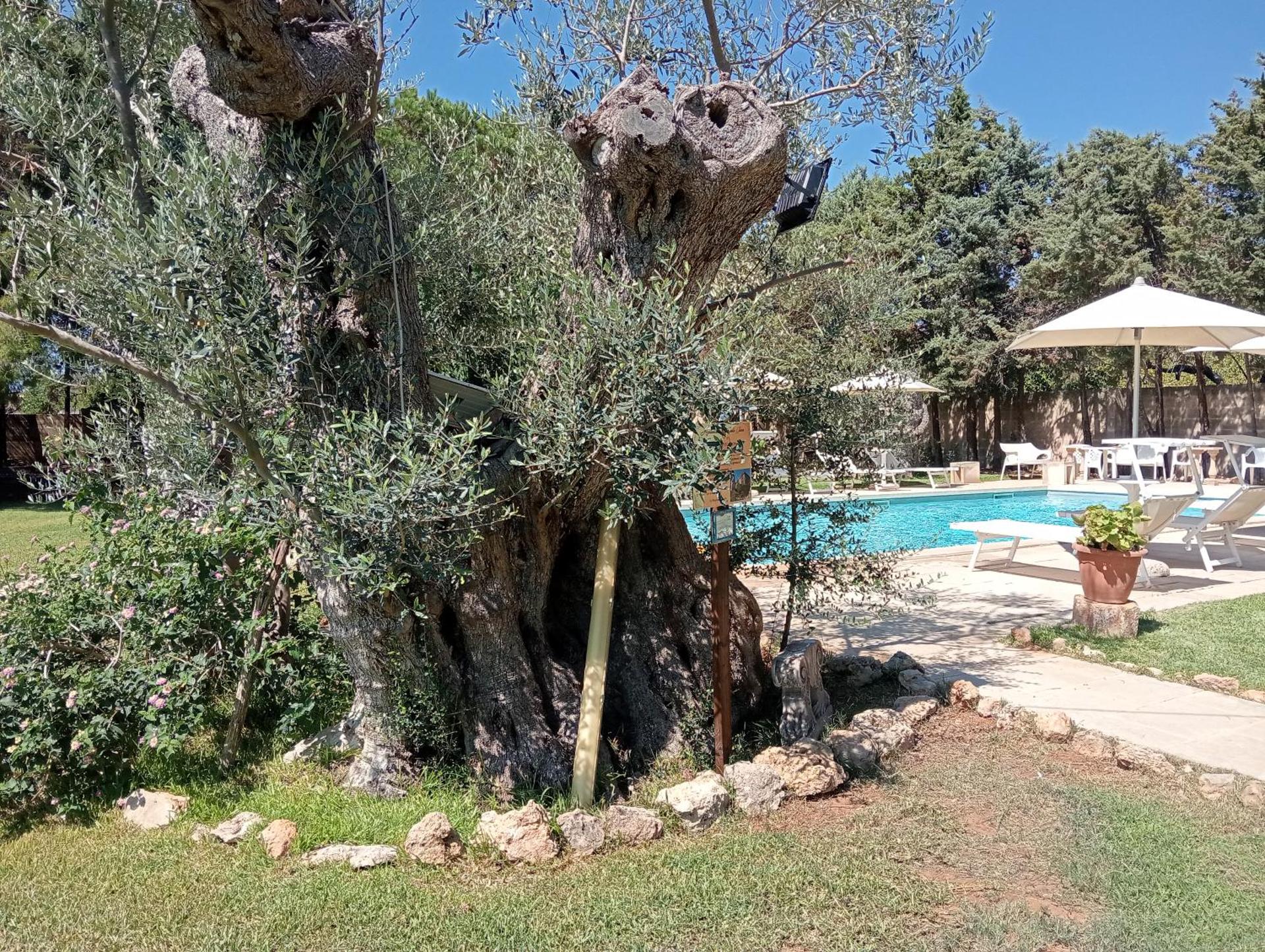 Agriturismo Santa Chiara - Photo 133