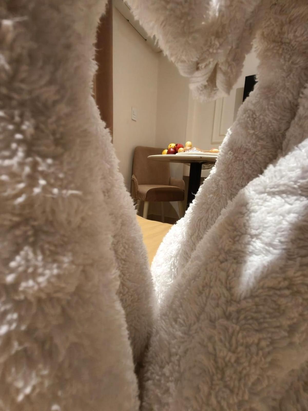 calma cairo - Photo 13