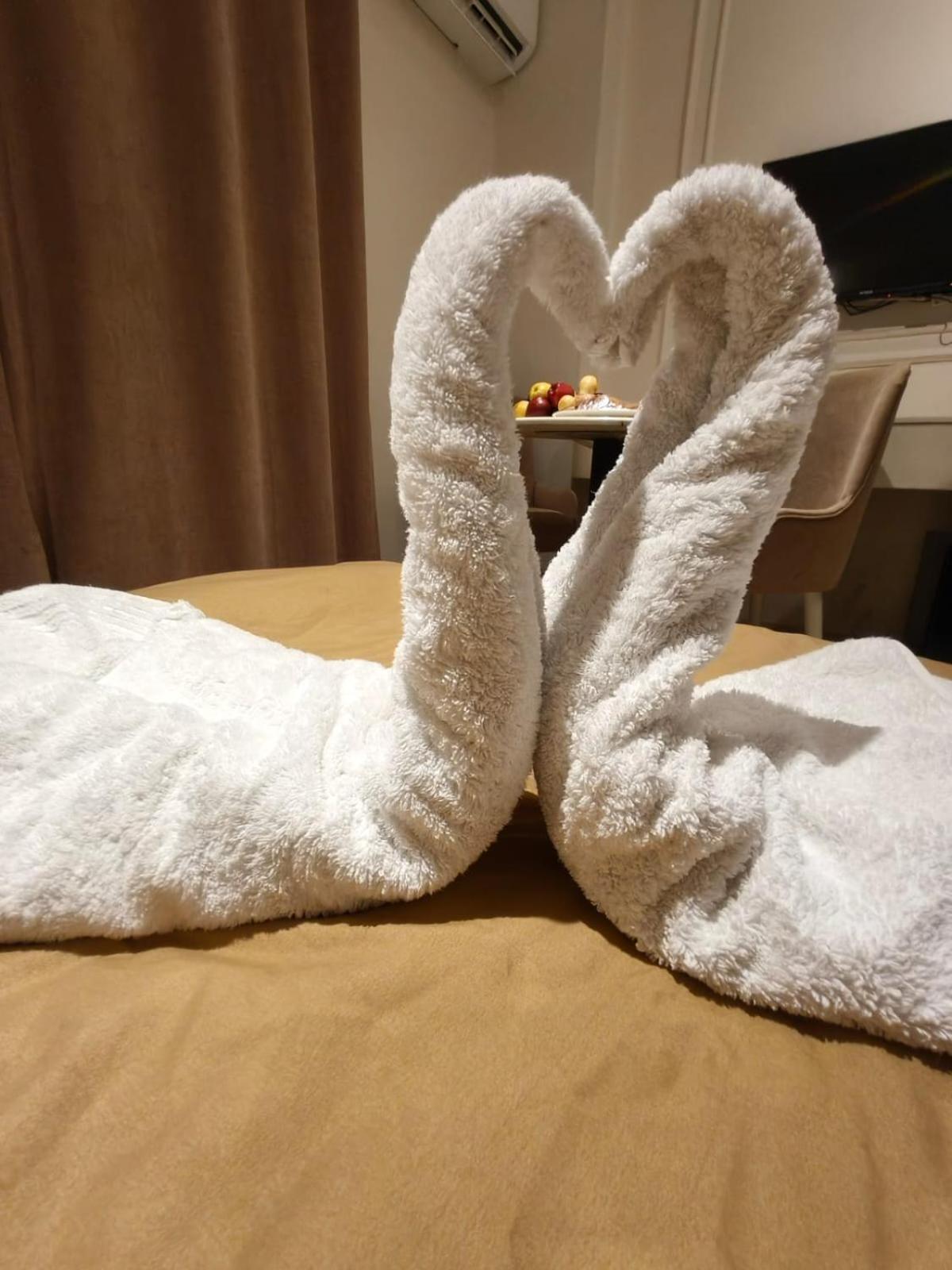 calma cairo - Photo 72