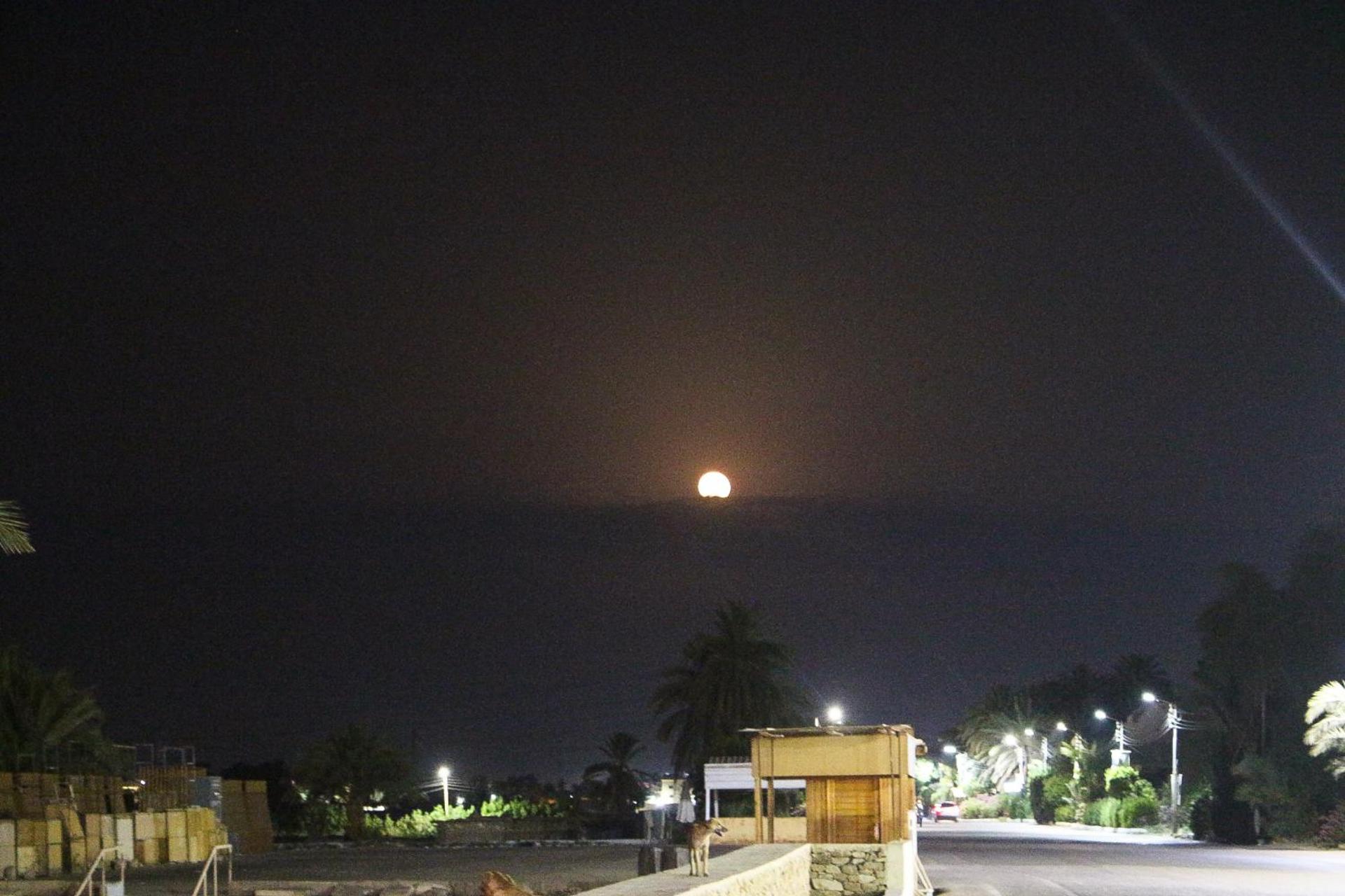 Flamingo Memnon Guest House - Photo 141