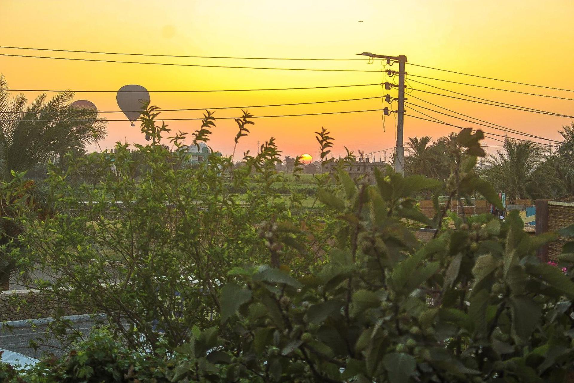 Flamingo Memnon Guest House - Photo 143