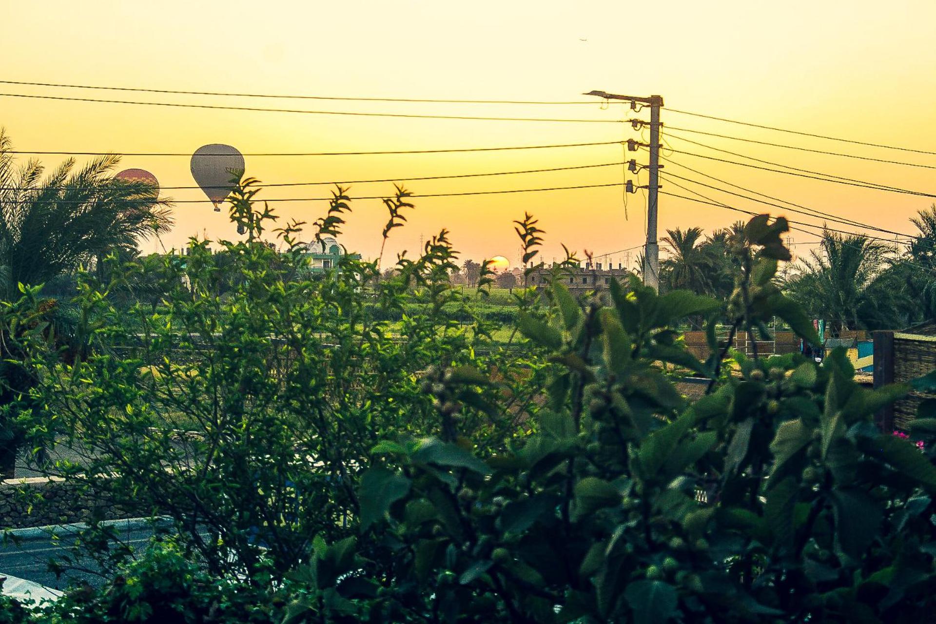 Flamingo Memnon Guest House - Photo 147