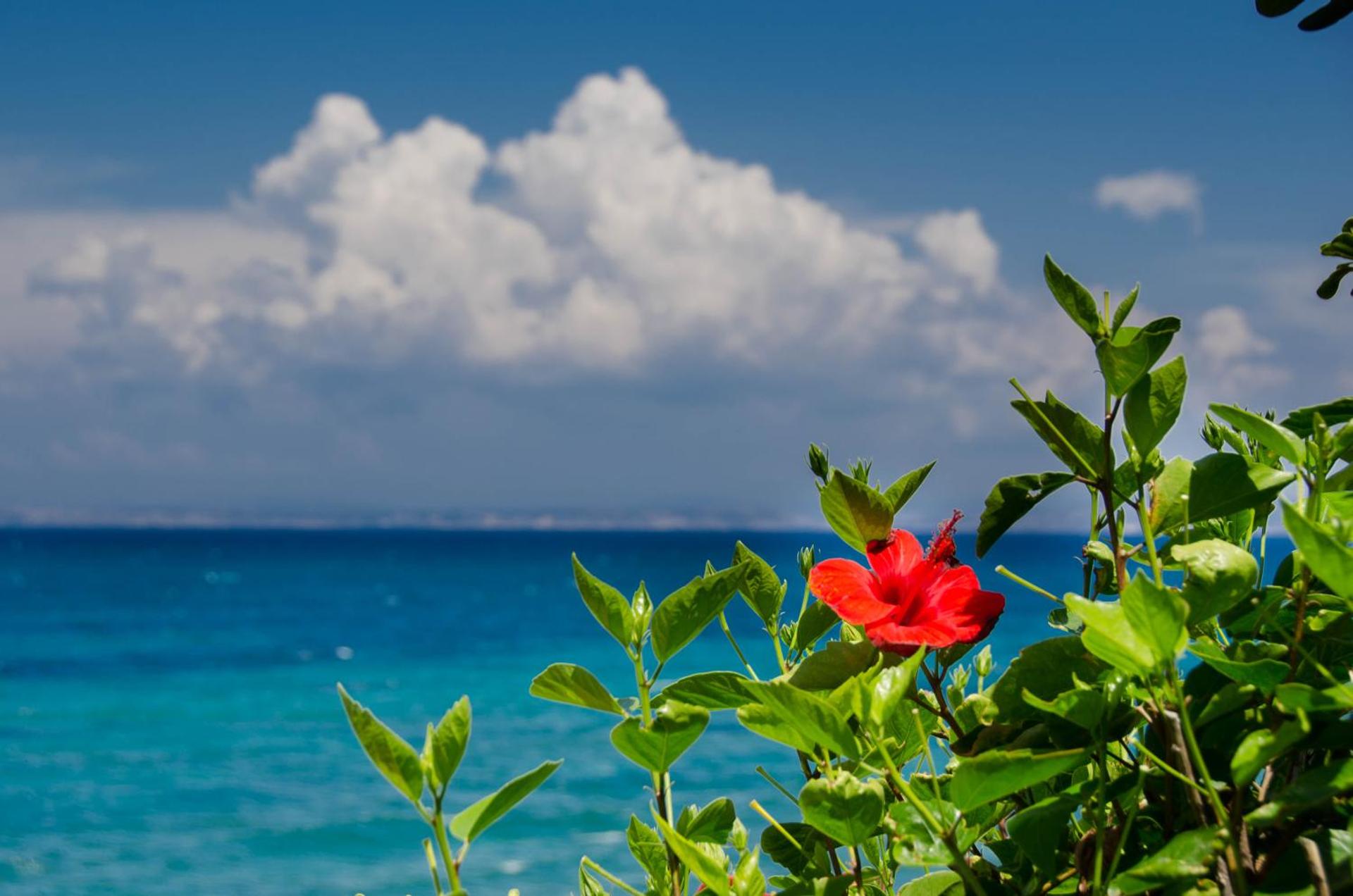 Plaka Studios - Photo 118