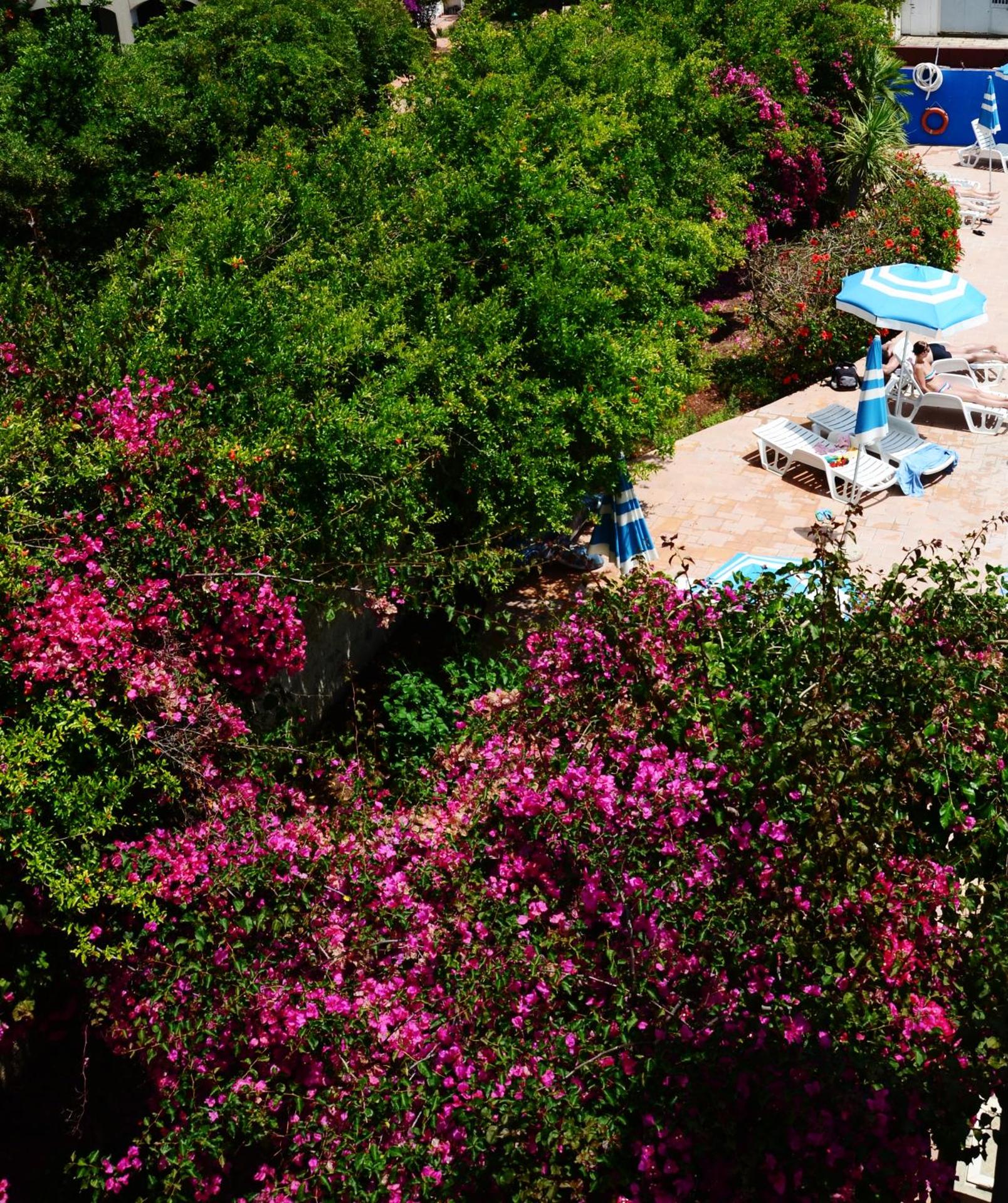 Residence Eucalipti - Photo 16