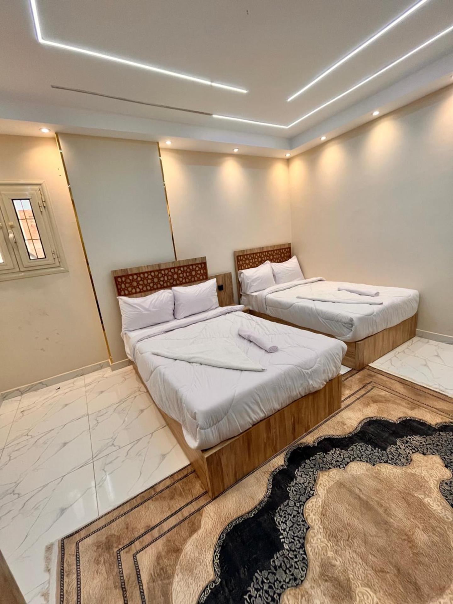 Energy Pyramids View - Photo 87