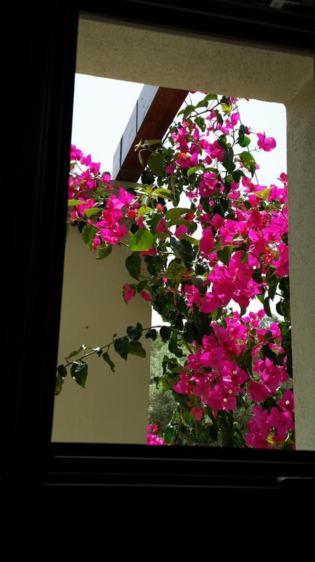 Thea Houses - Photo 37