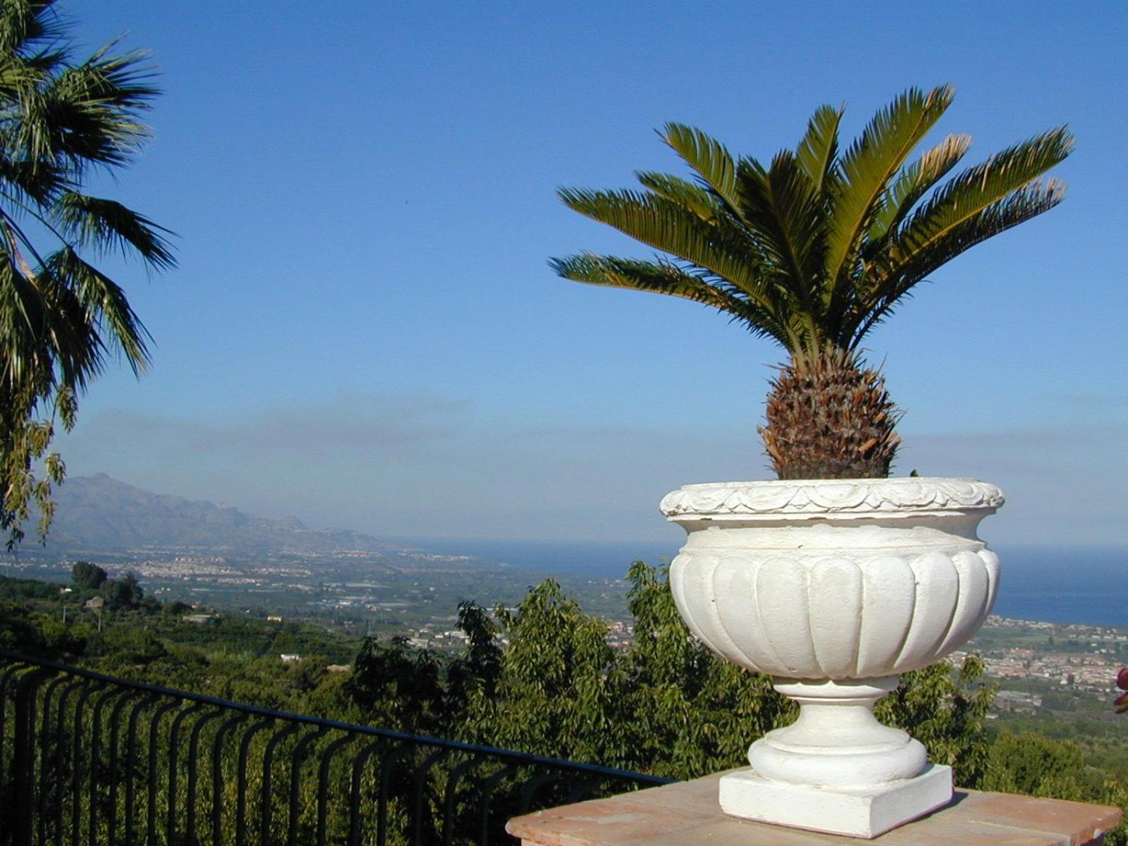 IL Ciliegio Dell 'Etna - Photo 158