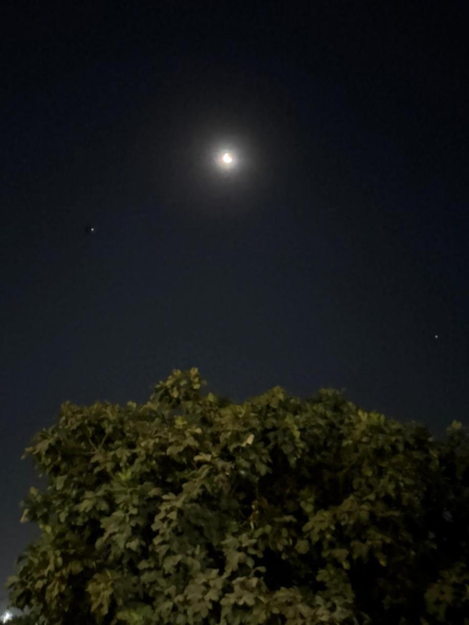 Grand Memphis Hotel in Luxor - Photo 29