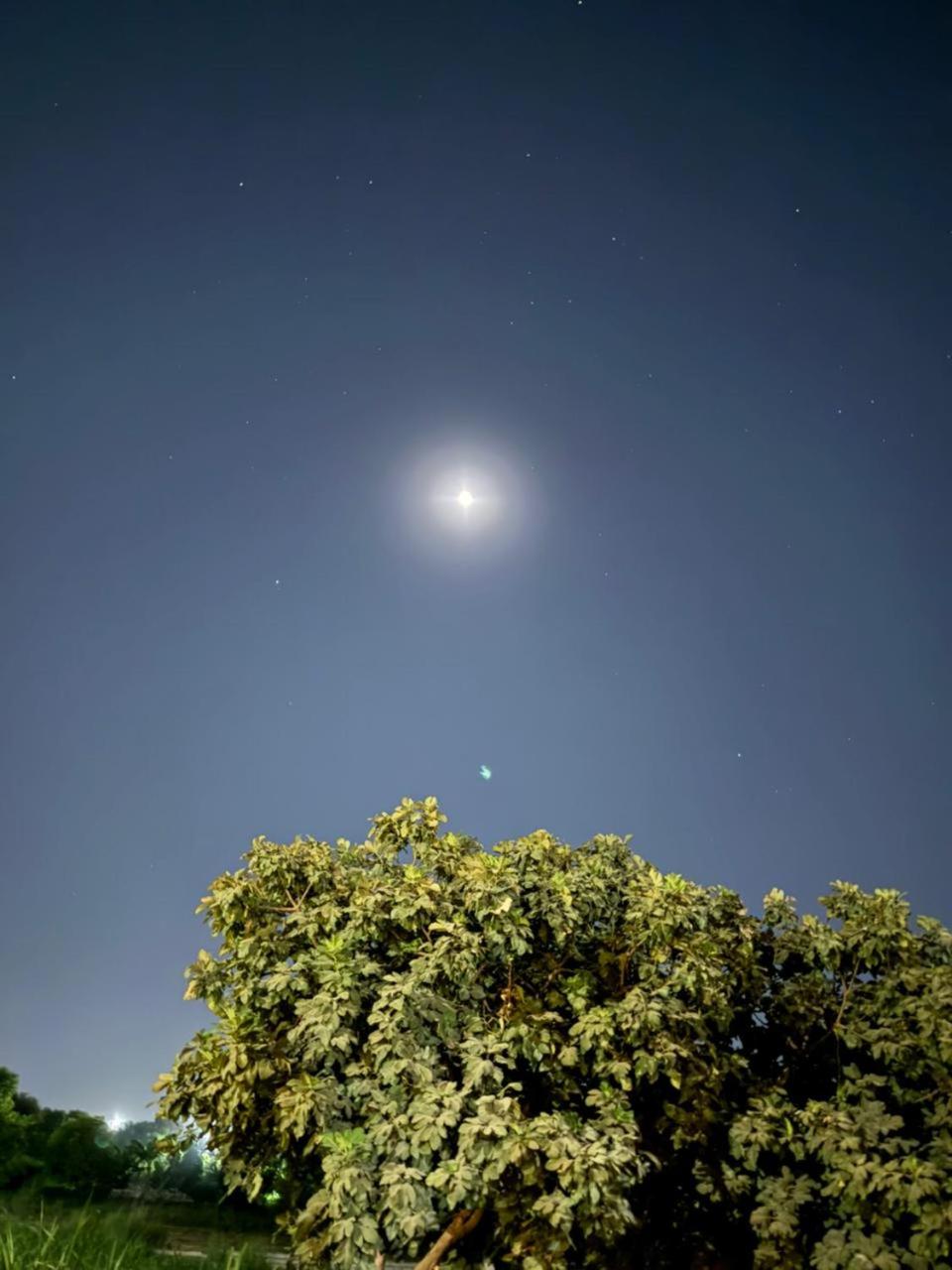 Grand Memphis Hotel in Luxor - Photo 51