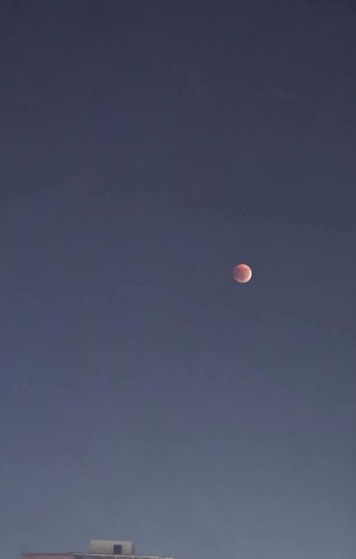 Grand Memphis Hotel in Luxor - Photo 74