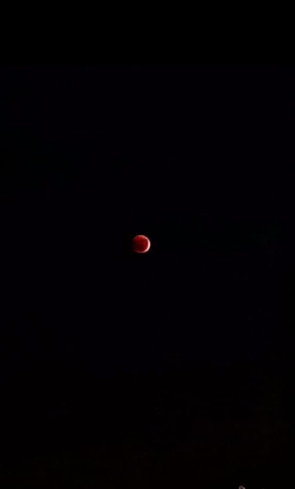 Grand Memphis Hotel in Luxor - Photo 75