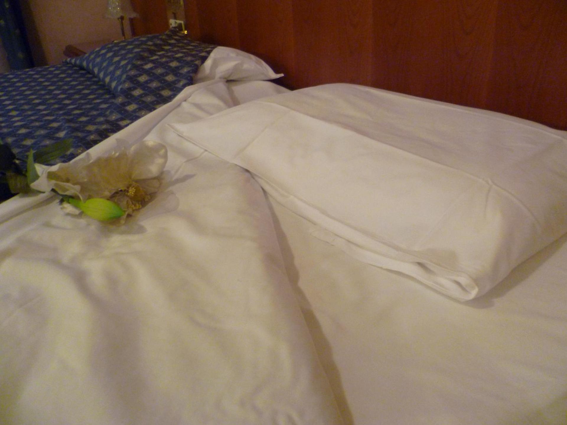 Hotel Minerva - Photo 91