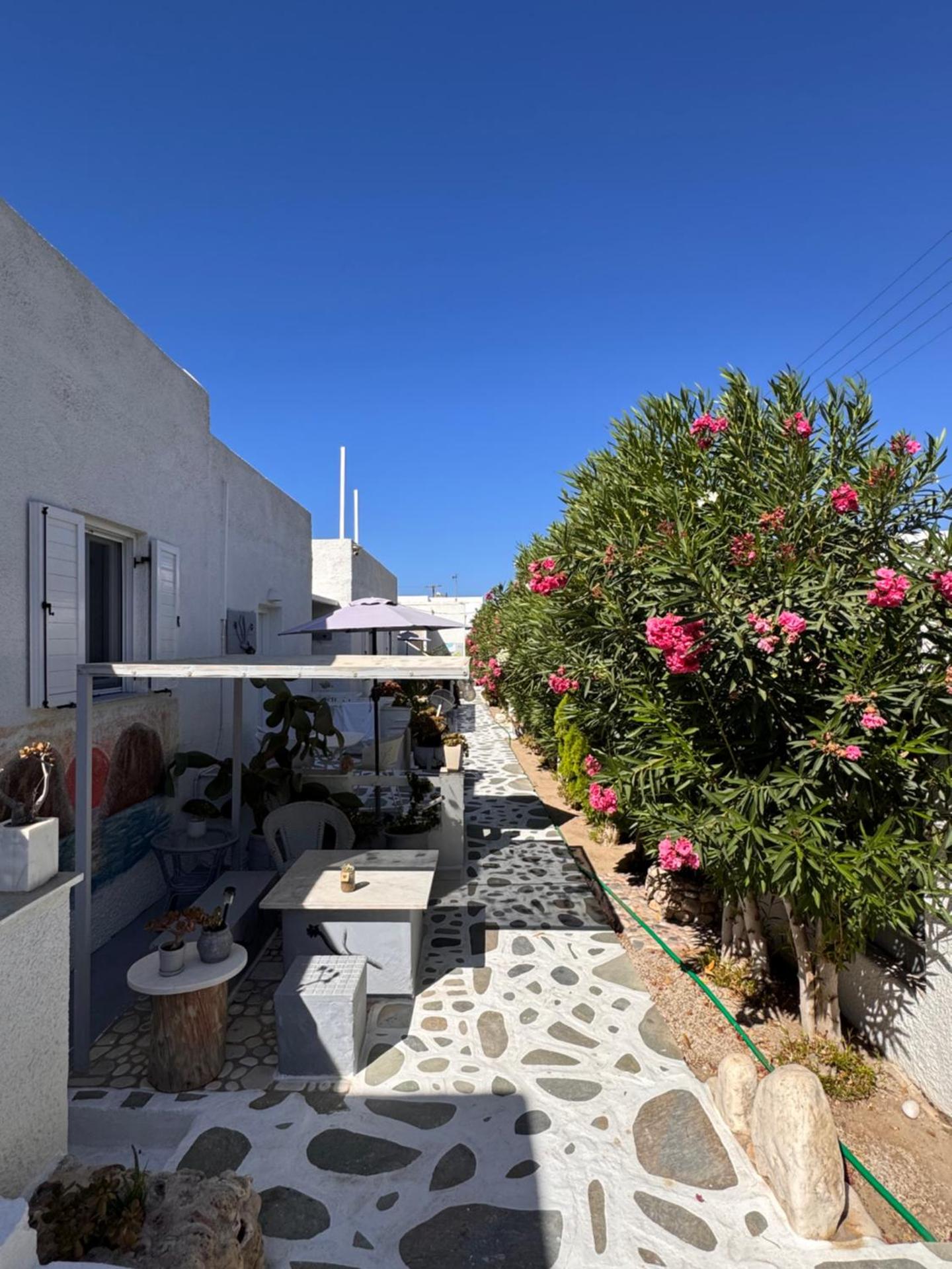 Diplos Studios - Photo 172