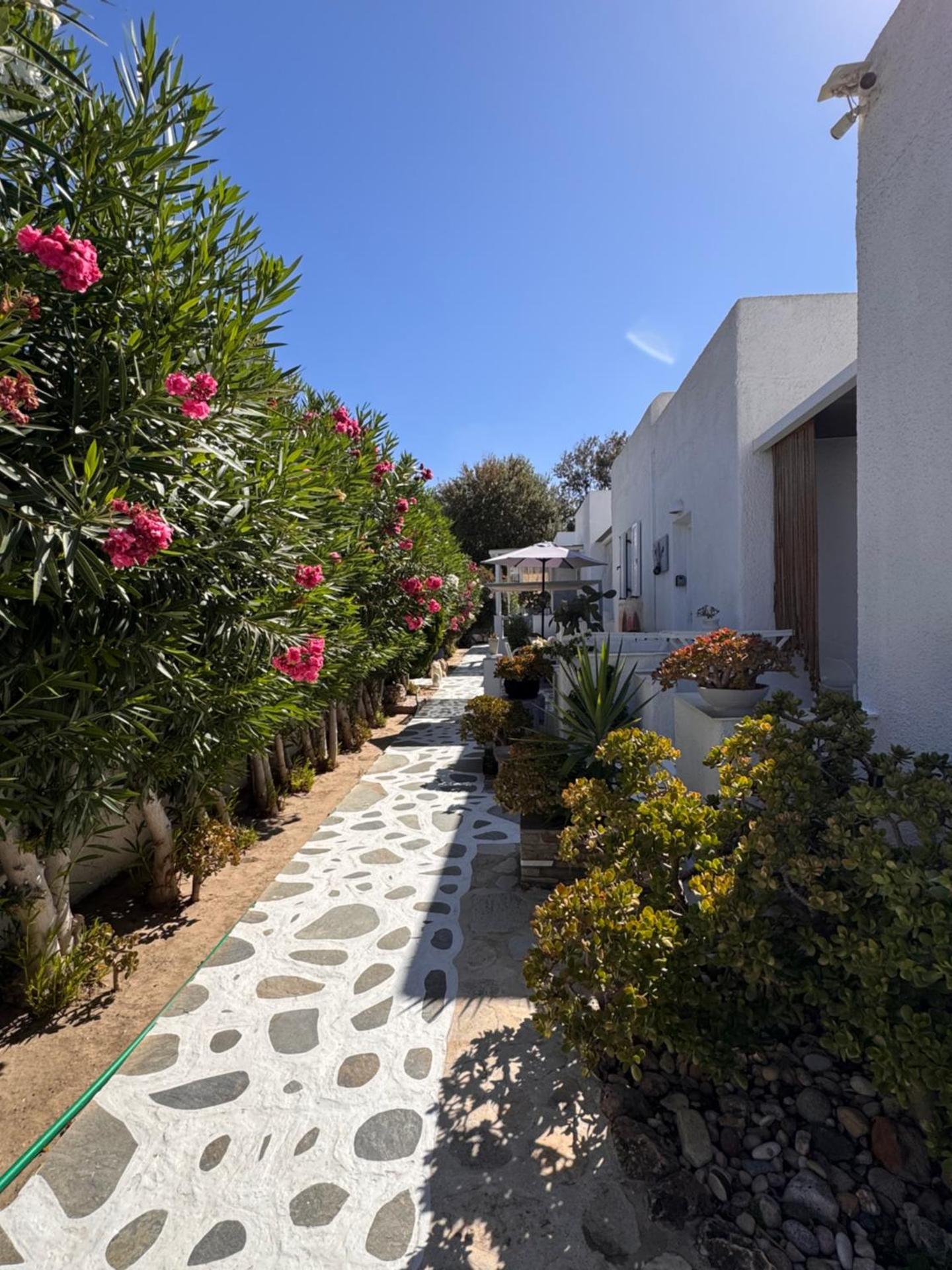 Diplos Studios - Photo 174