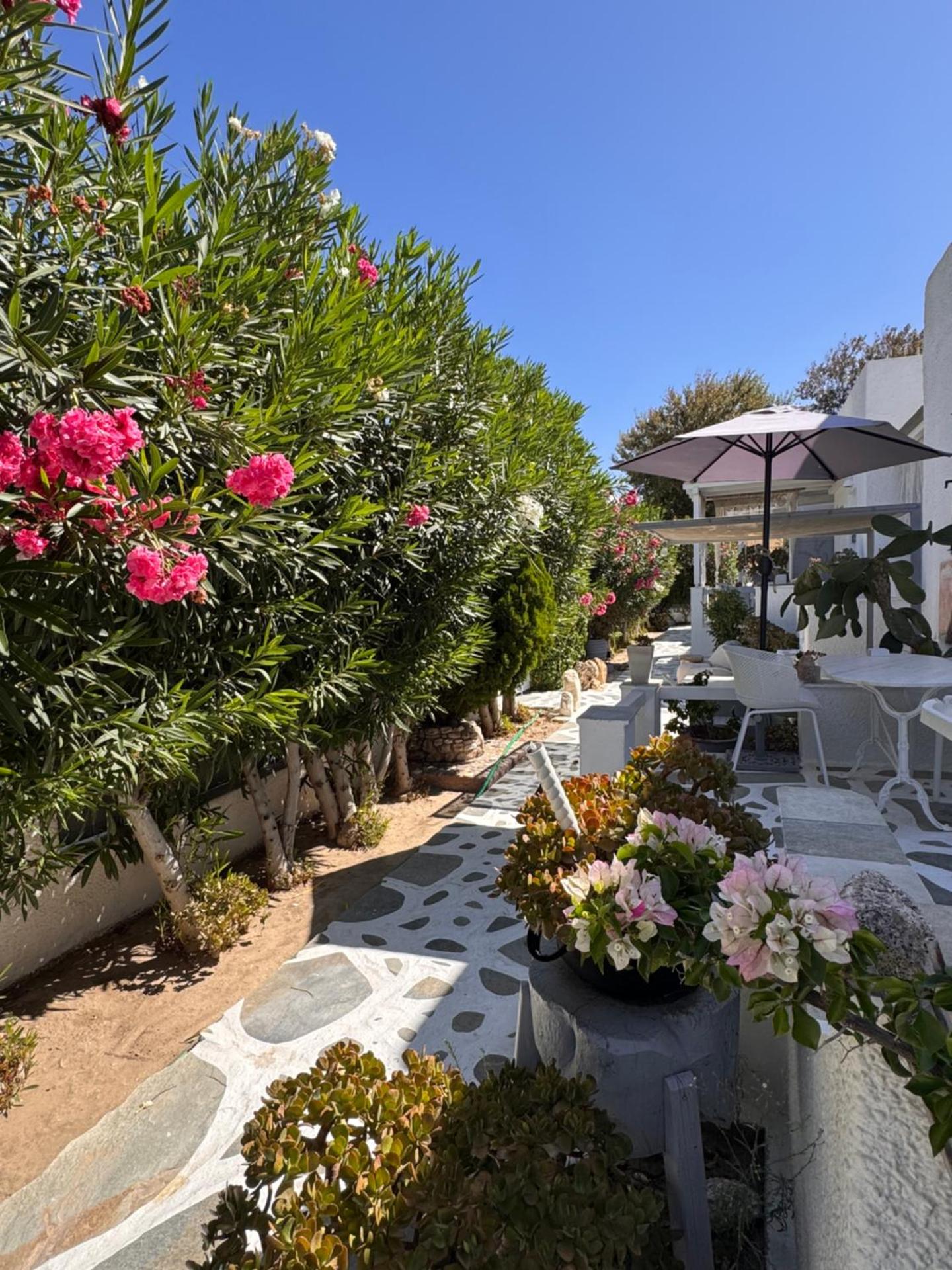 Diplos Studios - Photo 175