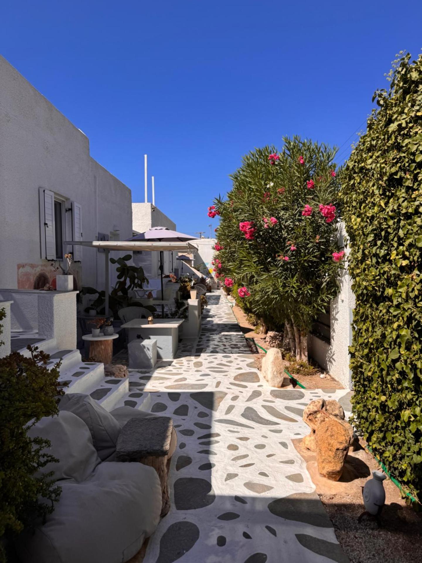 Diplos Studios - Photo 176