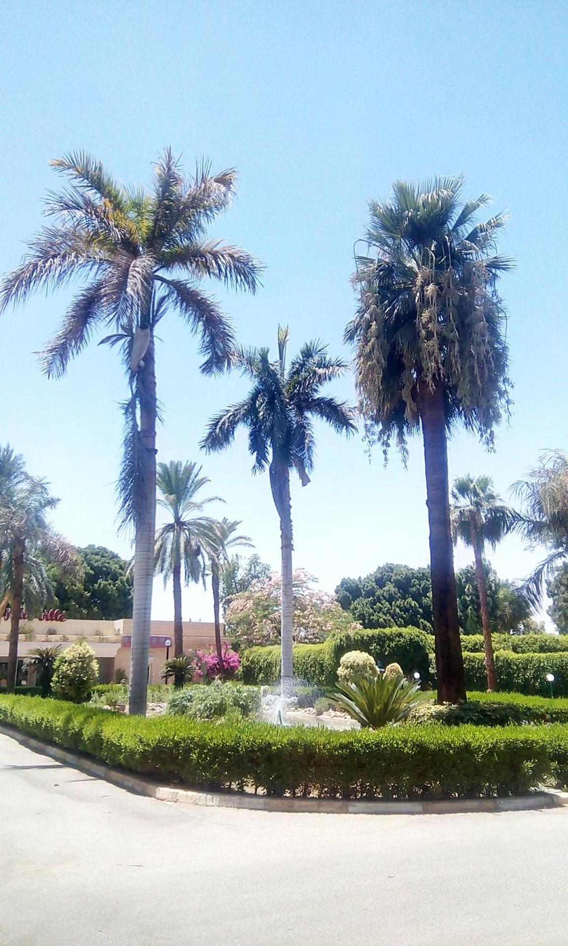 Jolie Ville Hotel & Spa Kings Island Luxor - Photo 109