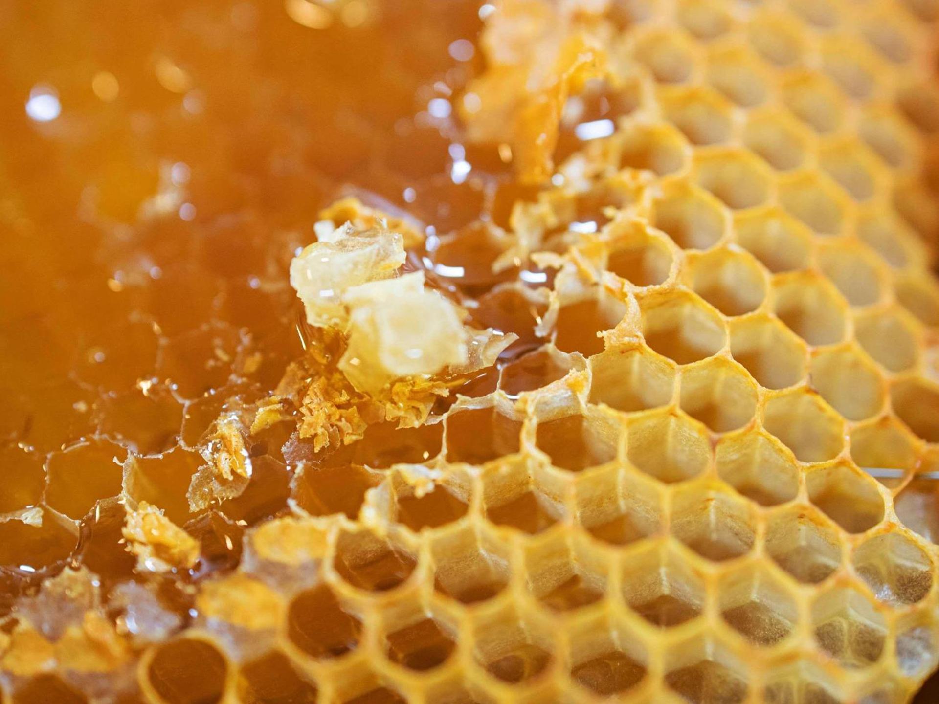 Novotel Suites Berlin City Potsdamer Platz - Photo 50