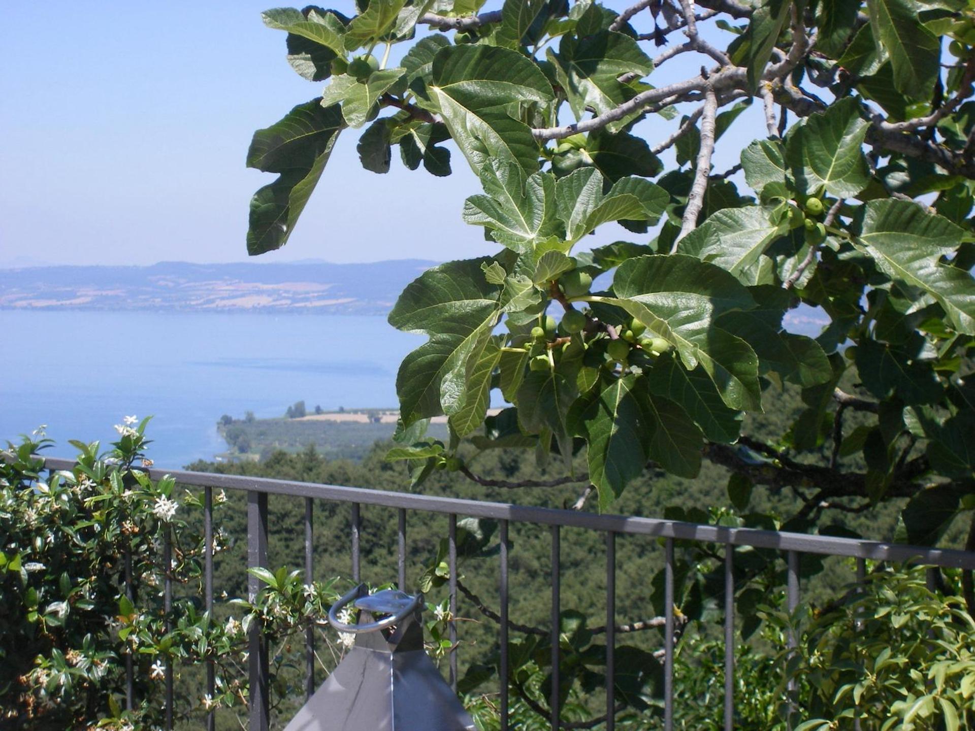 Il Caminetto Montefiascone - Photo 7