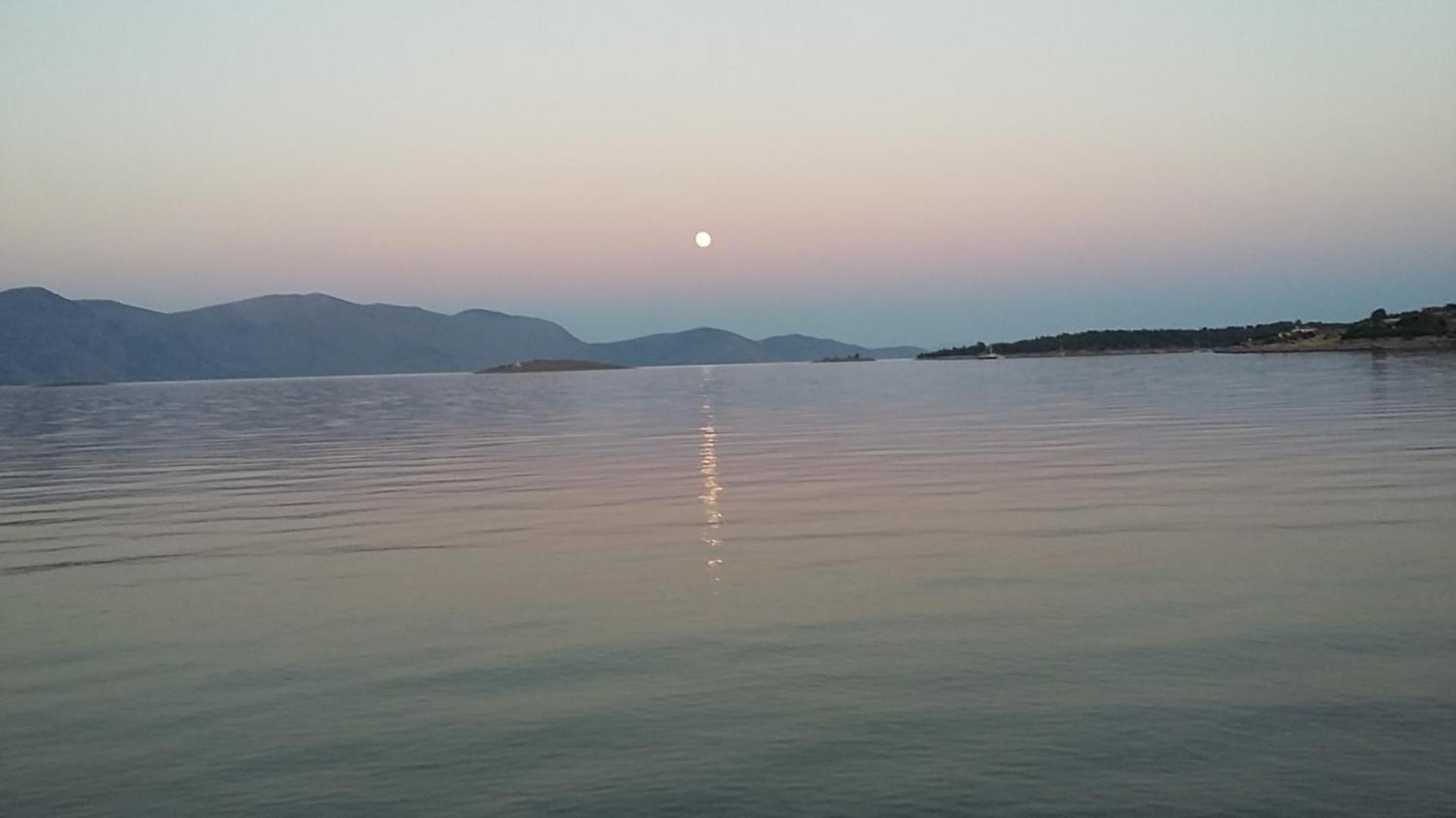 Elea Guesthouse - Photo 41