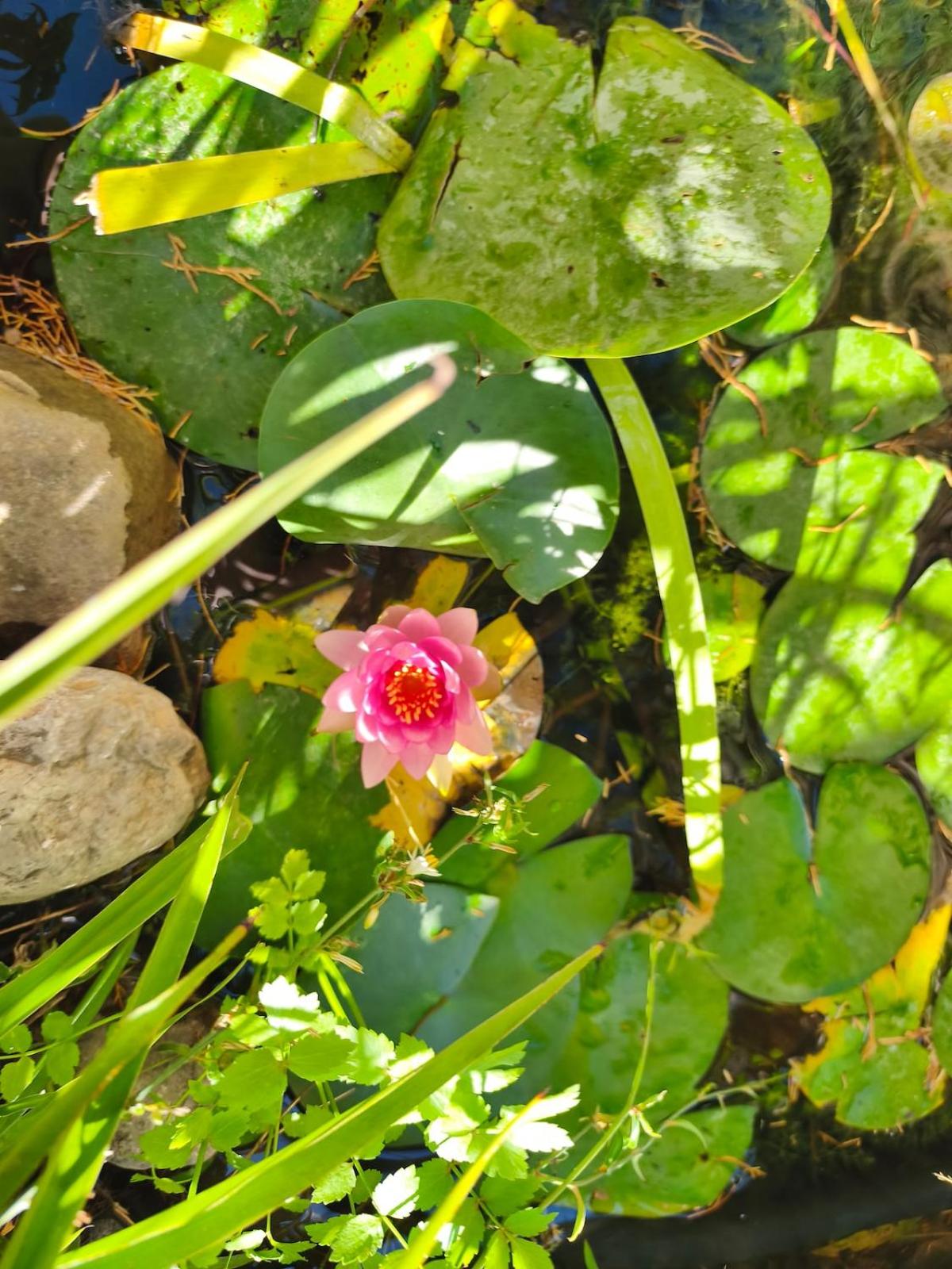 Agoriani Art Suite - 4 seasons' natural living - Photo 8