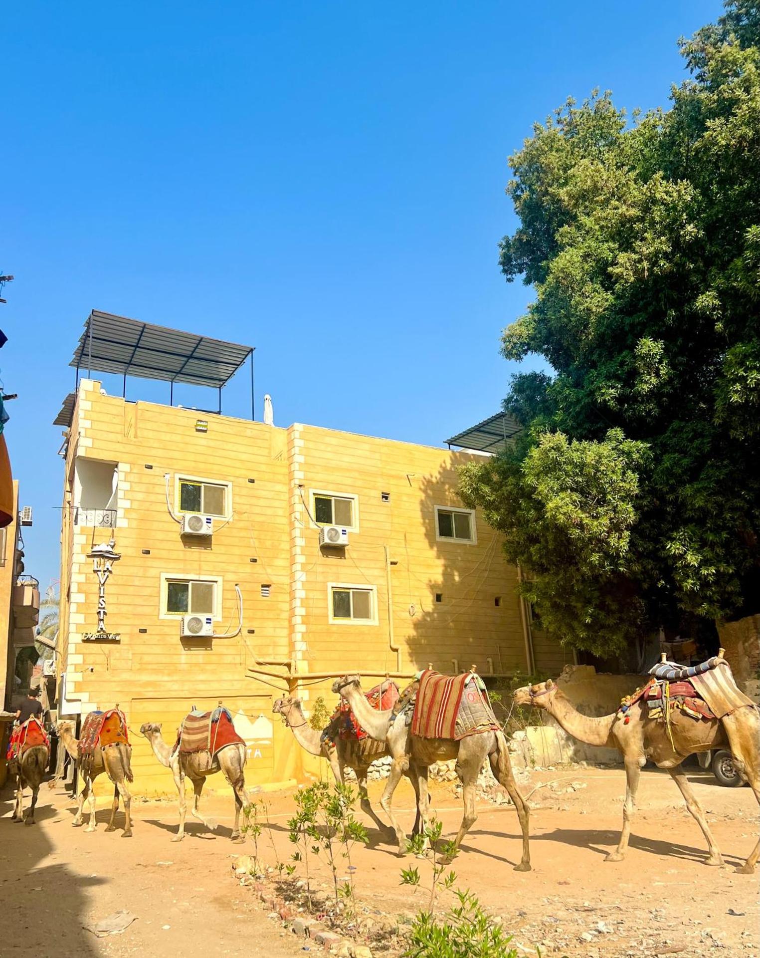 La Vista Pyramids Inn Hotel - Photo 2