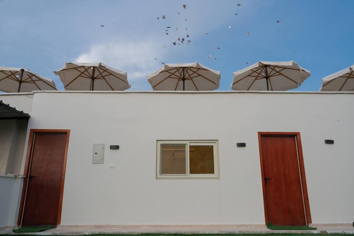 La Vista Pyramids Inn Hotel - Photo 16