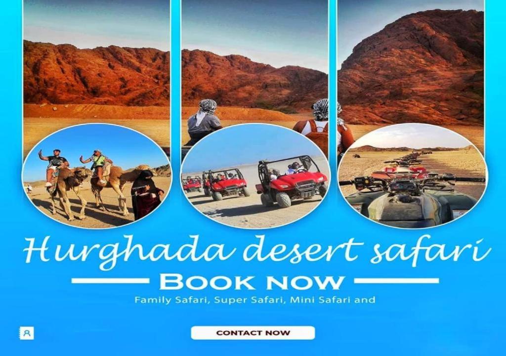 Sun Beach Hotel ABO SOMA - Photo 20