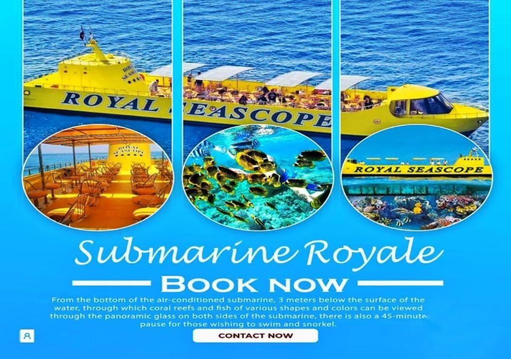 Sun Beach Hotel ABO SOMA - Photo 21