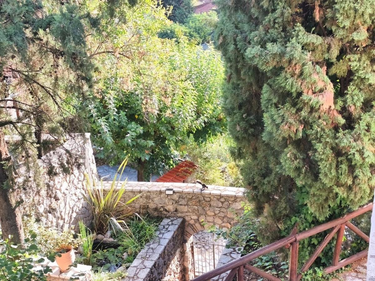 Agoriani Art Suite - 4 seasons' natural living - Photo 10