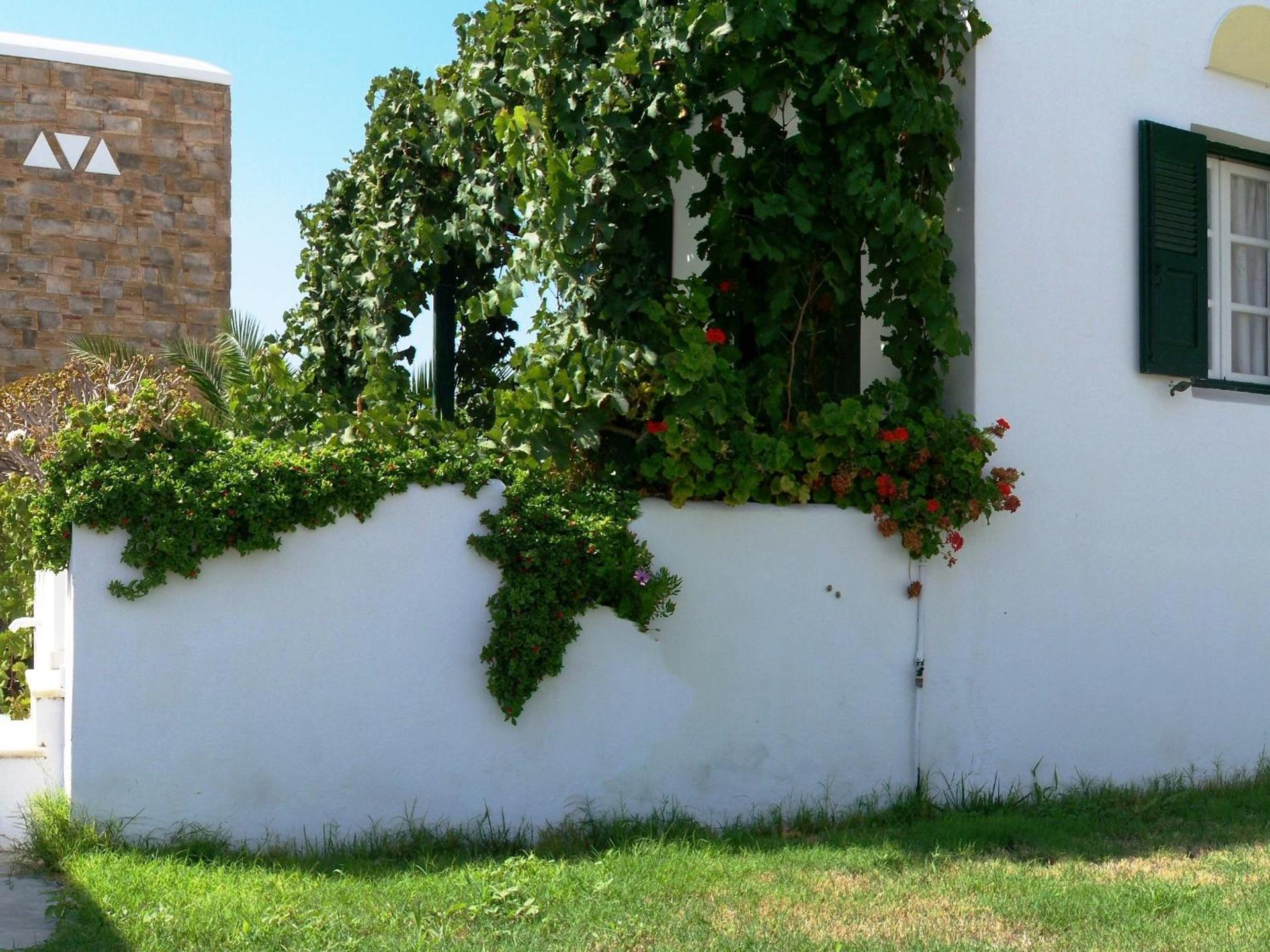 Plaka Hotel I - Photo 46