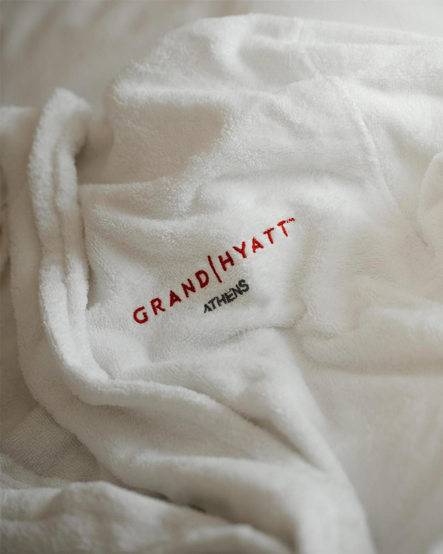 Grand Hyatt Athens - Photo 76