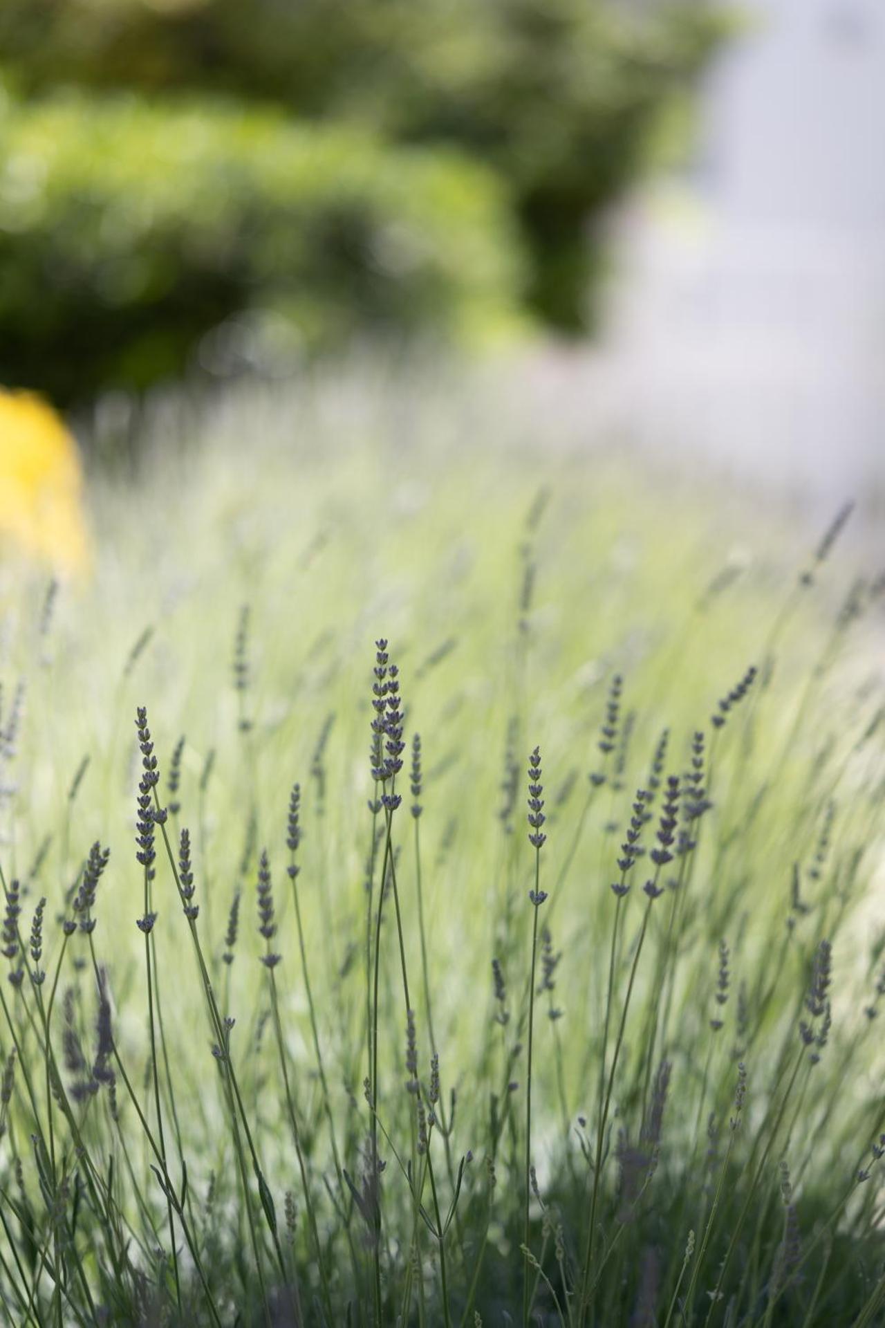 Hotel Riva Del Sole - Photo 94