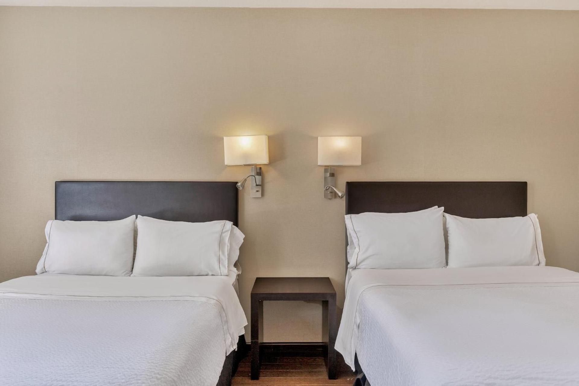 Fiesta Inn Centro Historico - Photo 6