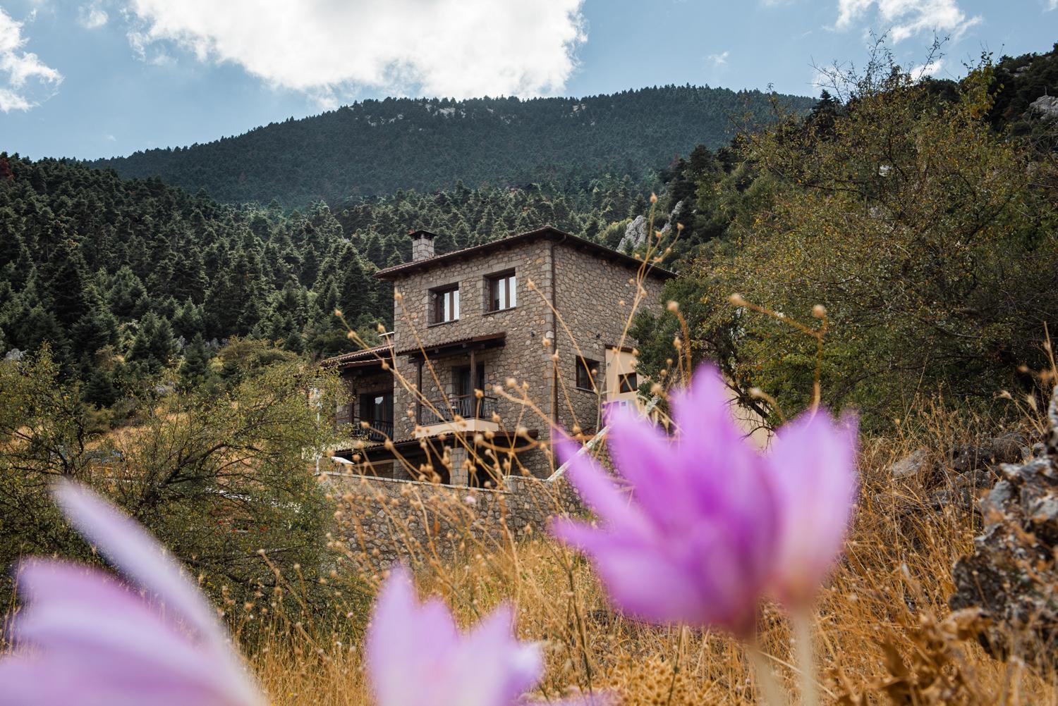 Ξενώνας Αγανίππη - Photo 53