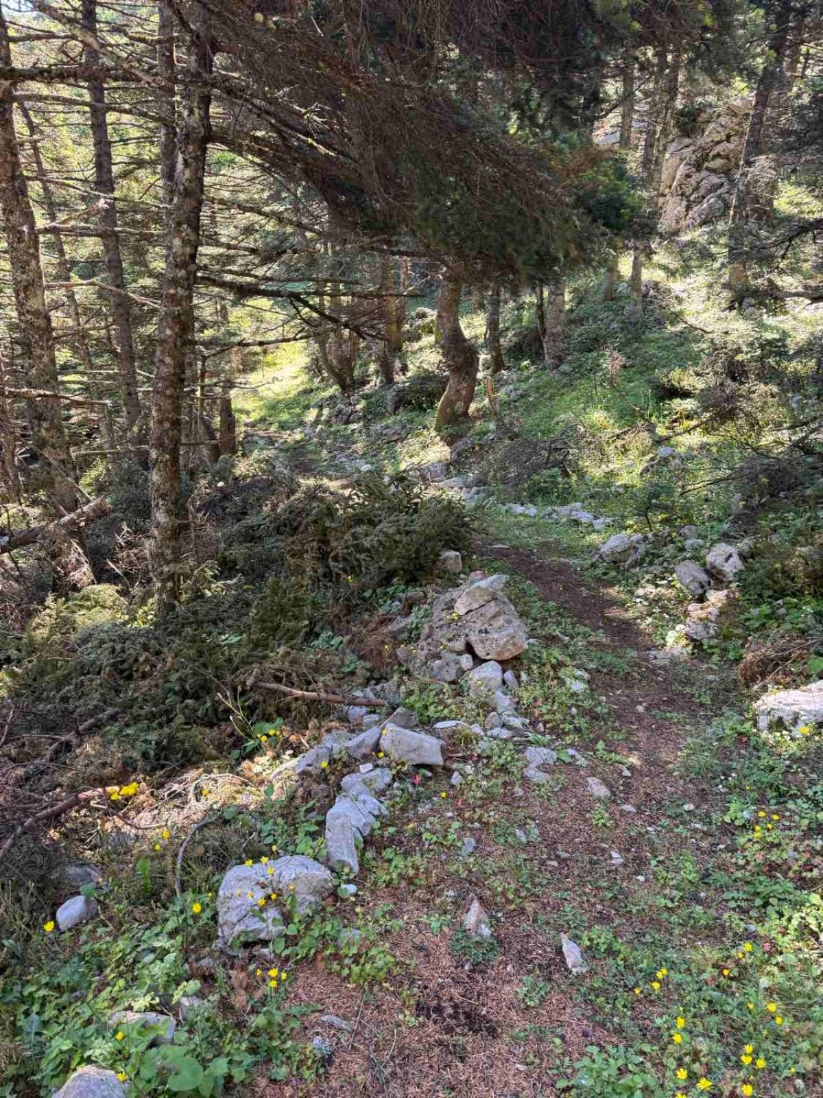 Ξενώνας Αγανίππη - Photo 63