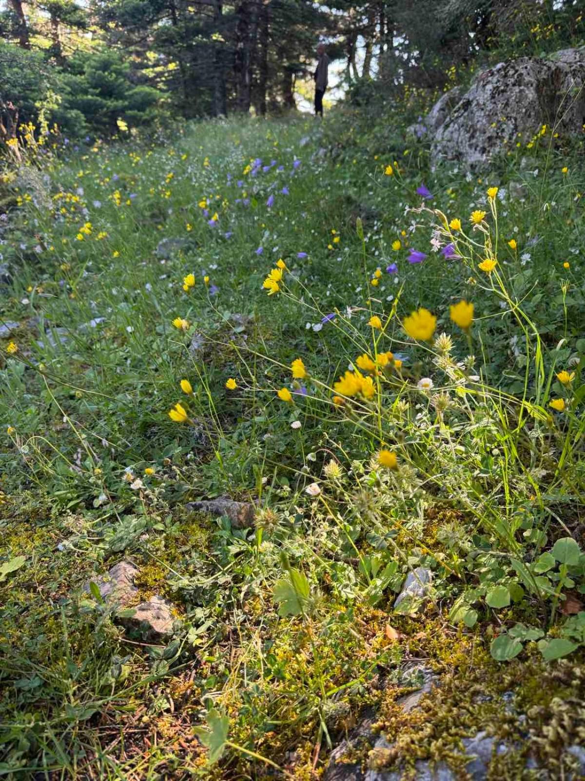 Ξενώνας Αγανίππη - Photo 58