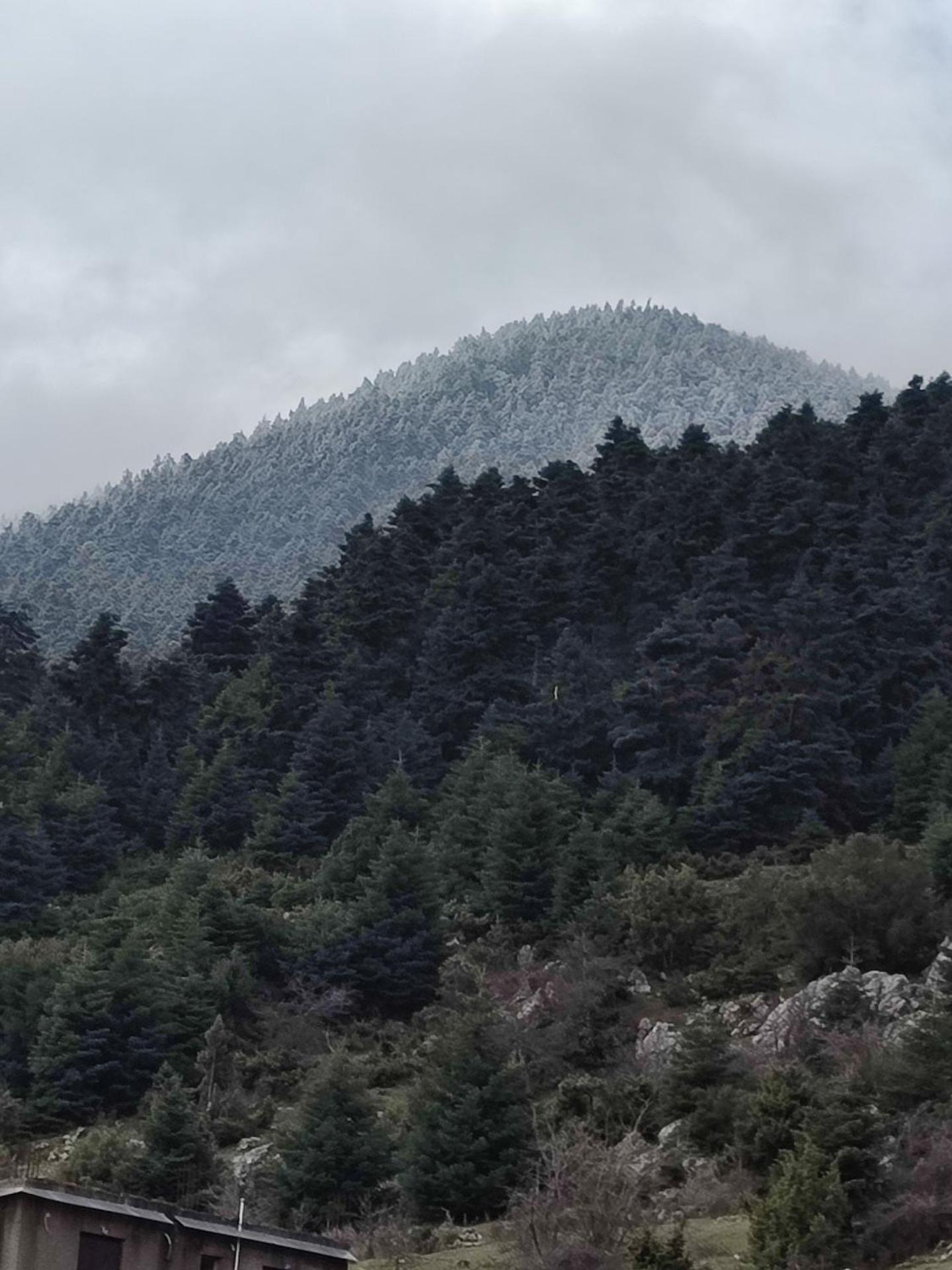 Ξενώνας Αγανίππη - Photo 66