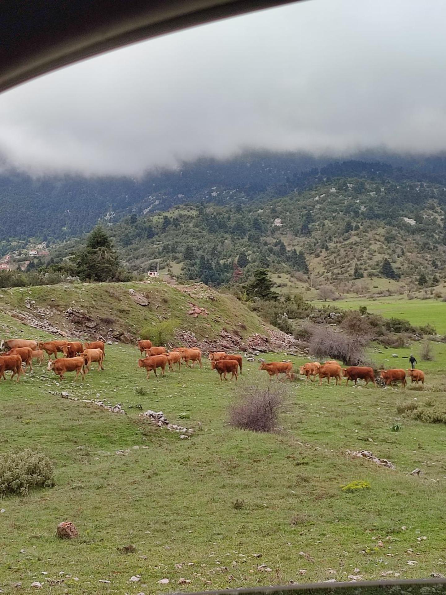 Ξενώνας Αγανίππη - Photo 65