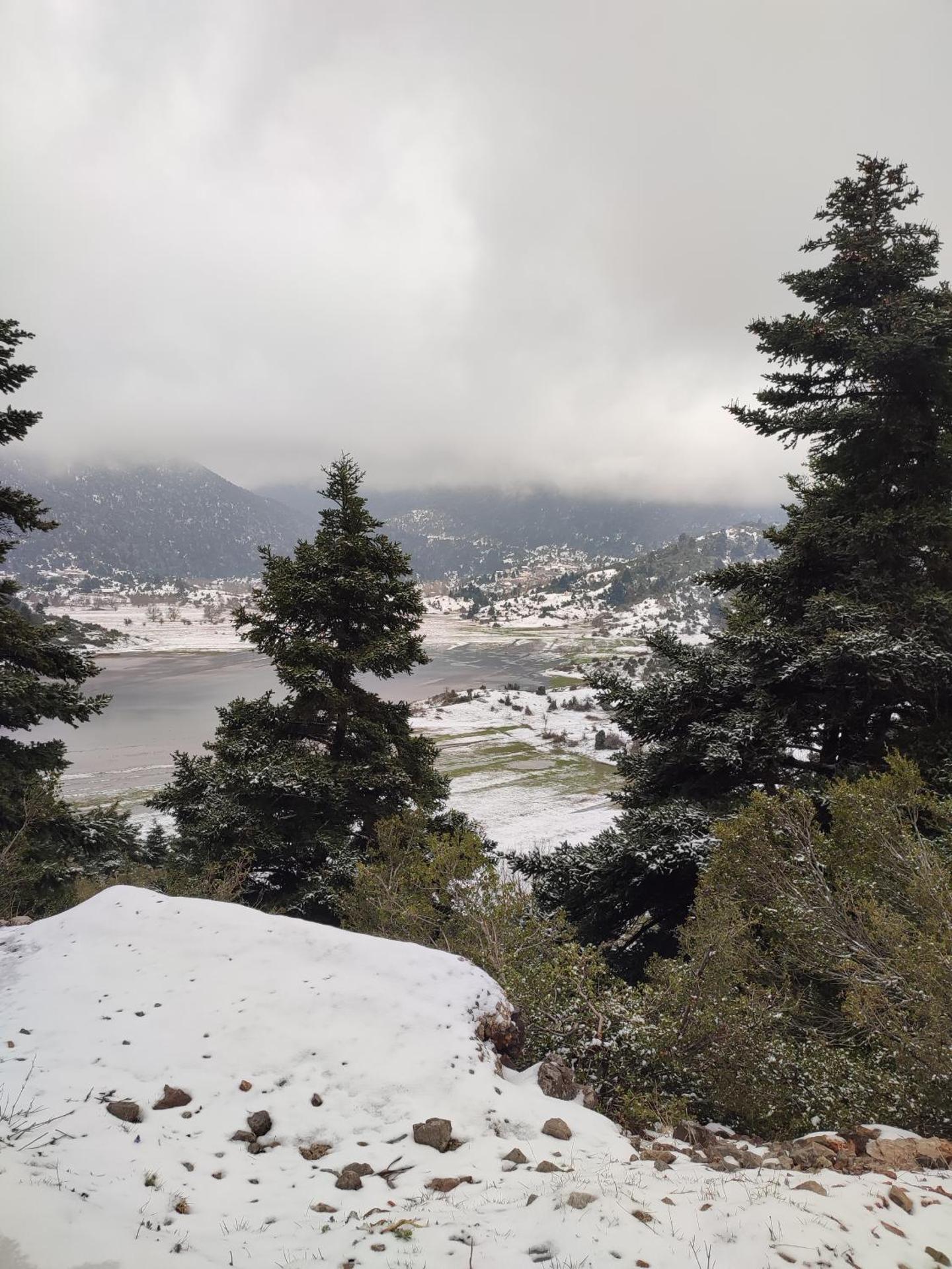 Ξενώνας Αγανίππη - Photo 72