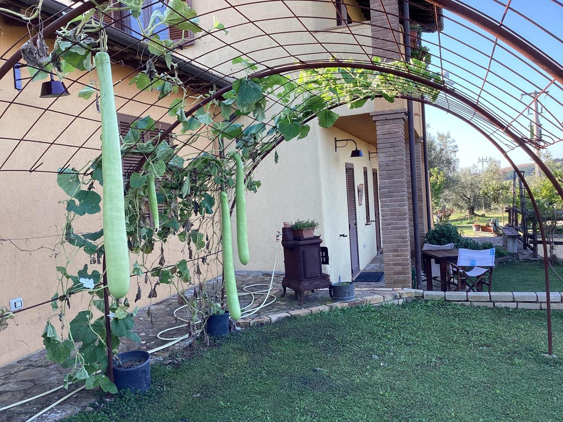 Agriturismo La Svolta - Photo 16