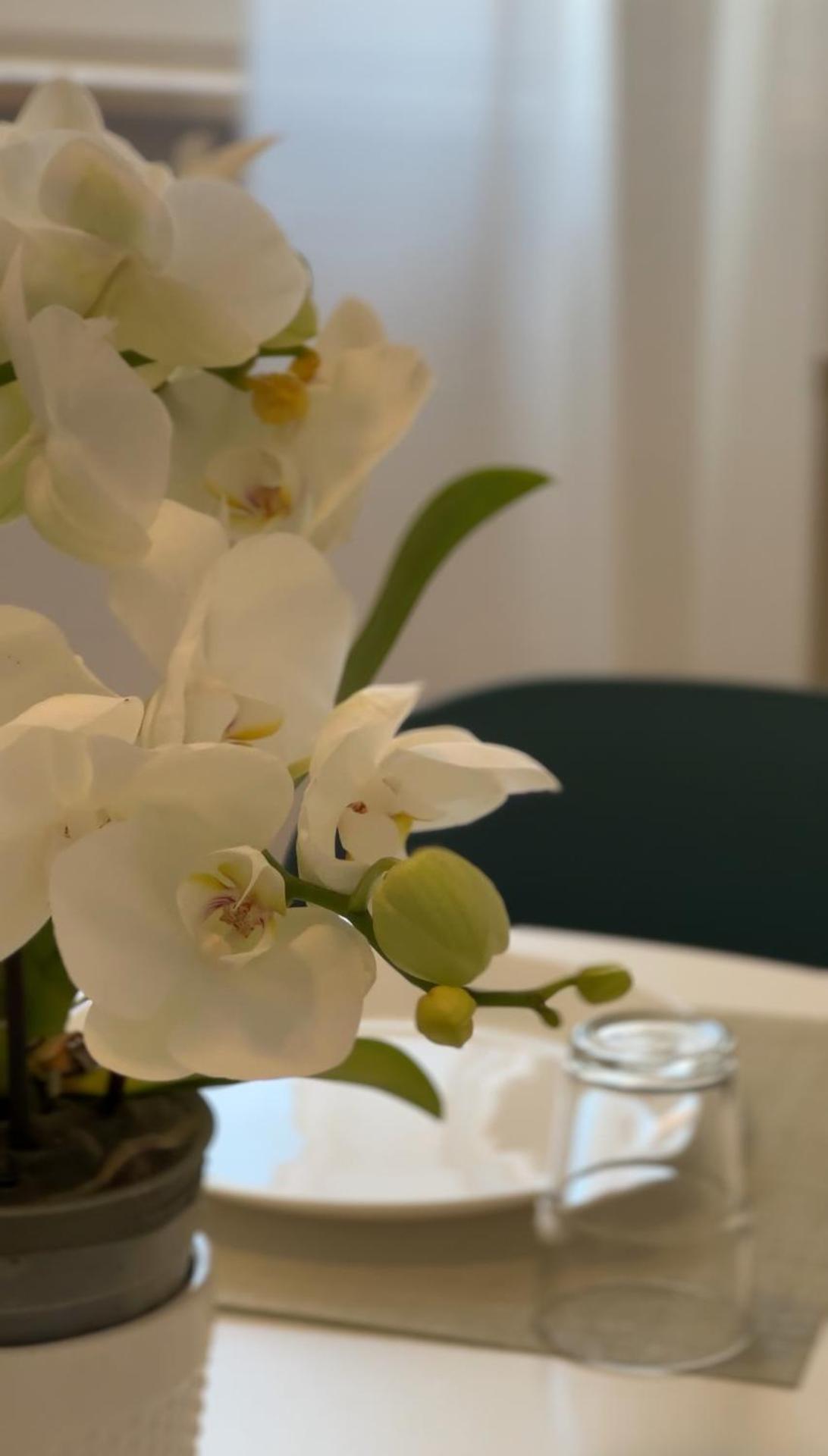 Residence Sanremo - Photo 68