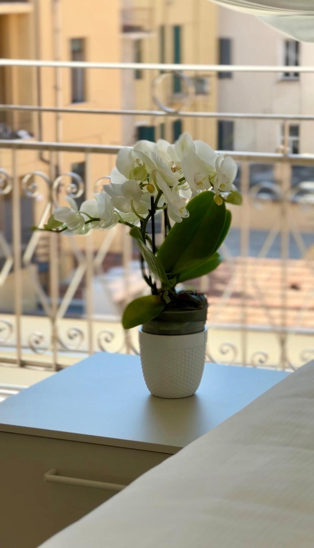 Residence Sanremo - Photo 69