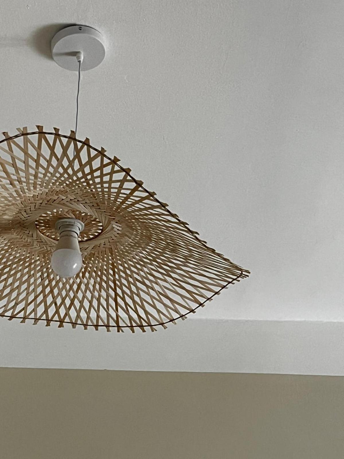 Tropical Cocoon in Monza - Photo 15