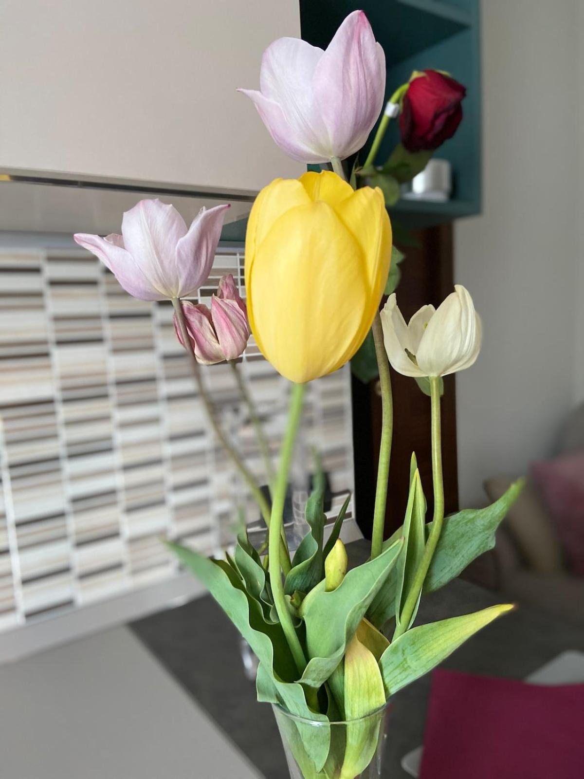 Casa di Silvia Beautiful apartment 15 minutes from MilanoRho Fiera - Photo 13