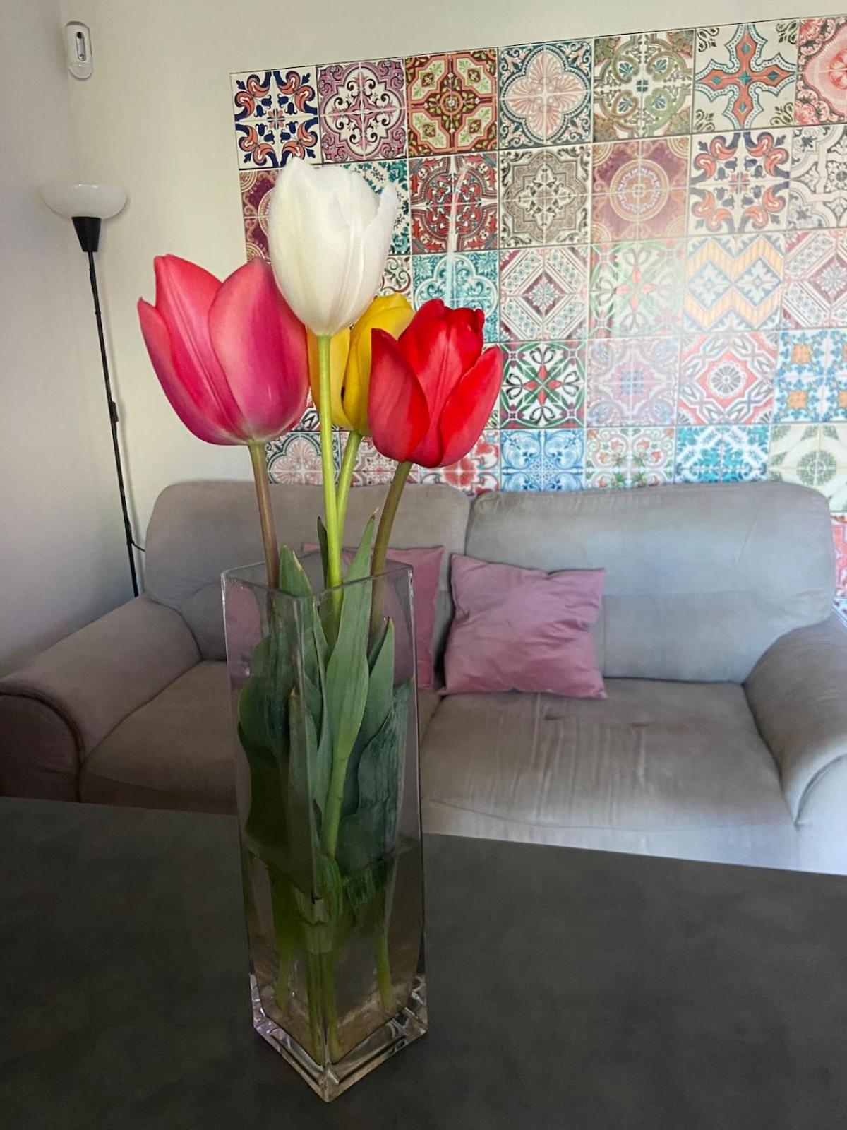 Casa di Silvia Beautiful apartment 15 minutes from MilanoRho Fiera - Photo 12